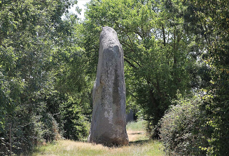 Menhir du Plessis au Bernard