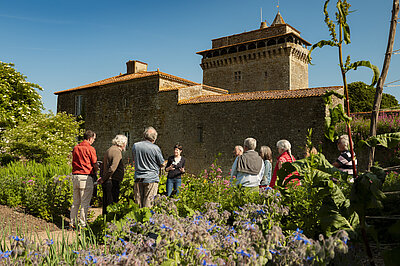 Une vue du donjon de Bazoges-en-Pareds lors d'une visite Une vue du donjon de Bazoges-en-Pareds lors d'une visite